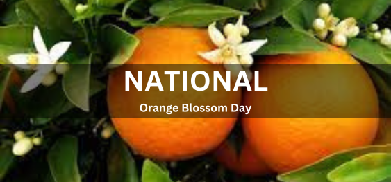 National Orange Blossom Day [राष्ट्रीय संतरा खिलना दिवस]